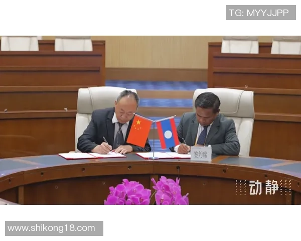 吴强独家分享飞盘技巧与心得体会助你提升游戏水平与乐趣