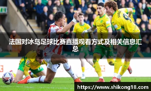 法国对冰岛足球比赛直播观看方式及相关信息汇总